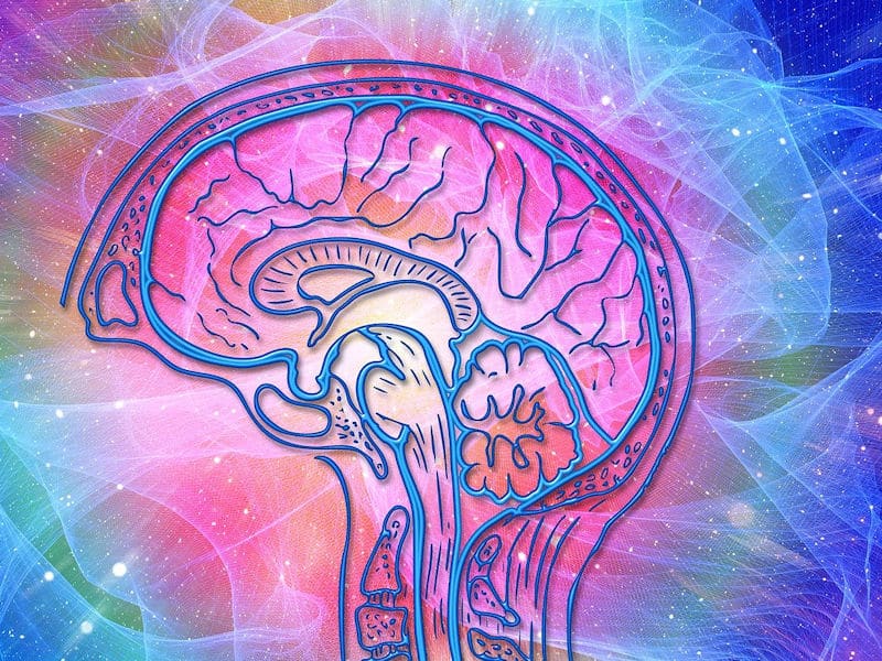 Human brain and the power of the mind.